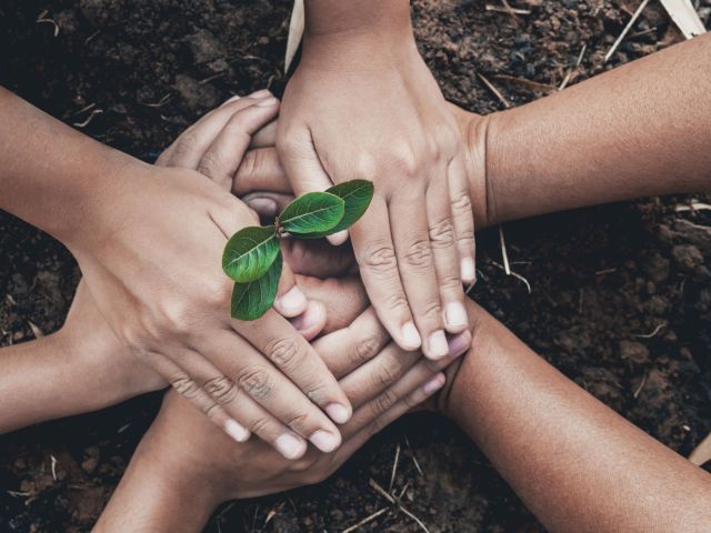 hand protection tree in garden concept save earth