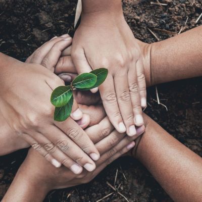 hand protection tree in garden concept save earth